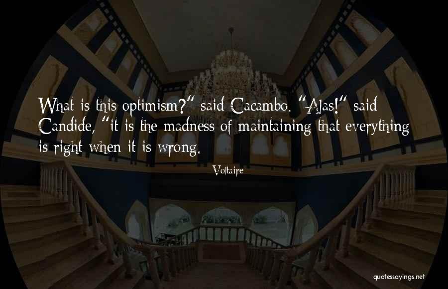 It Is Said That Quotes By Voltaire