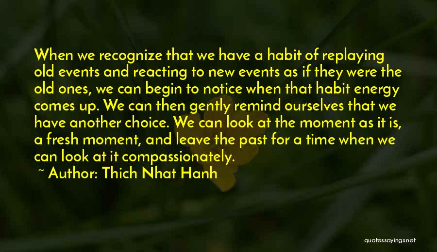 It Is Time To Leave Quotes By Thich Nhat Hanh