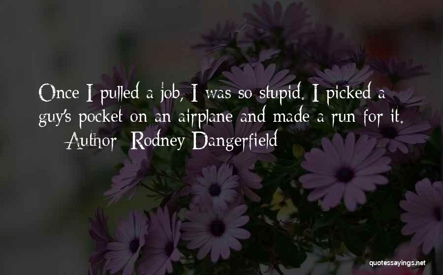 It Job Funny Quotes By Rodney Dangerfield