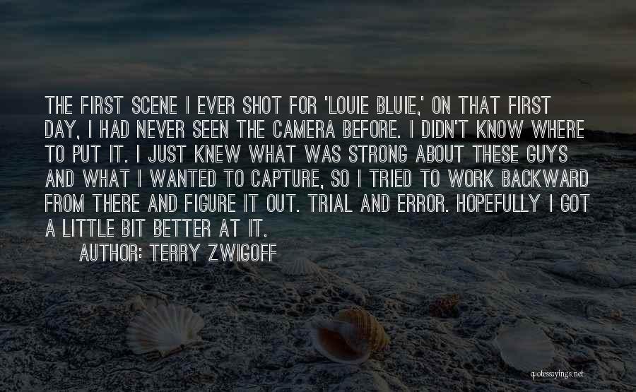 It Just Didn't Work Out Quotes By Terry Zwigoff