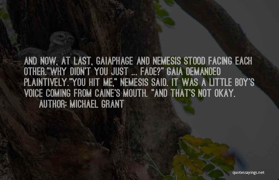 It Just Hit Me Quotes By Michael Grant