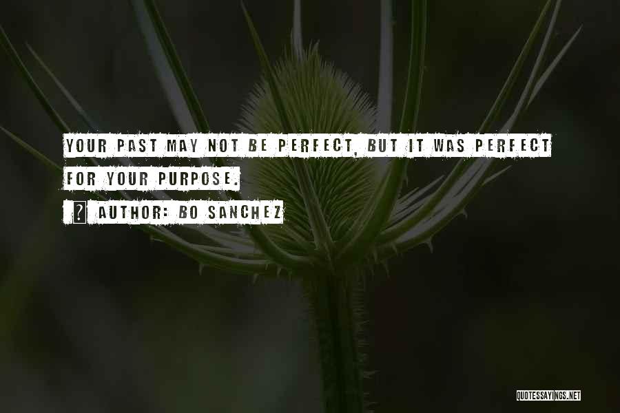 It May Not Be Perfect Quotes By Bo Sanchez