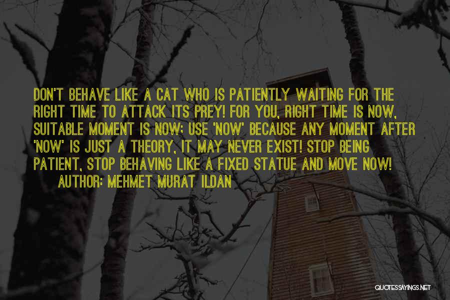 It Never Being The Right Time Quotes By Mehmet Murat Ildan