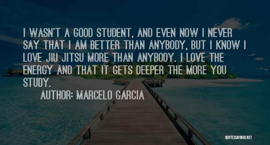 It Never Gets Better Quotes By Marcelo Garcia