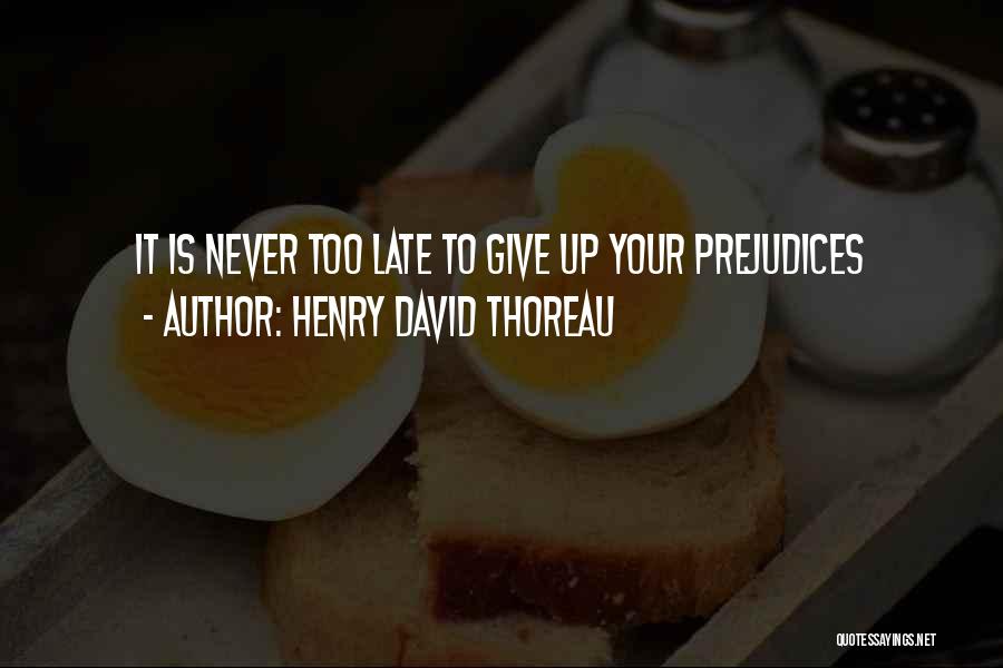 It Never Too Late Quotes By Henry David Thoreau