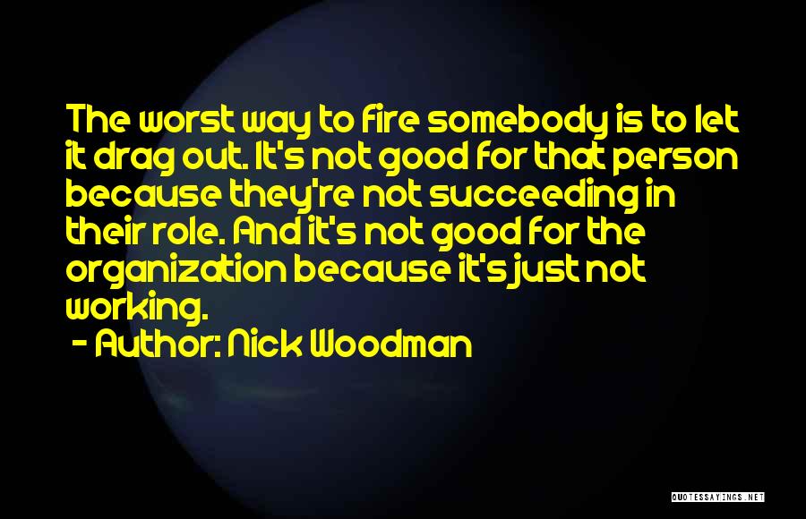 It Not Working Out Quotes By Nick Woodman
