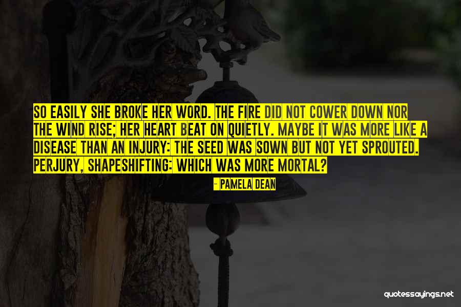 It On Fire Quotes By Pamela Dean It On Fire Quotes By Pamela Dean