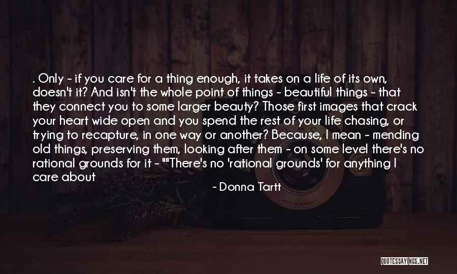 It Only Takes One Quotes By Donna Tartt It Only Takes One Quotes By Donna Tartt