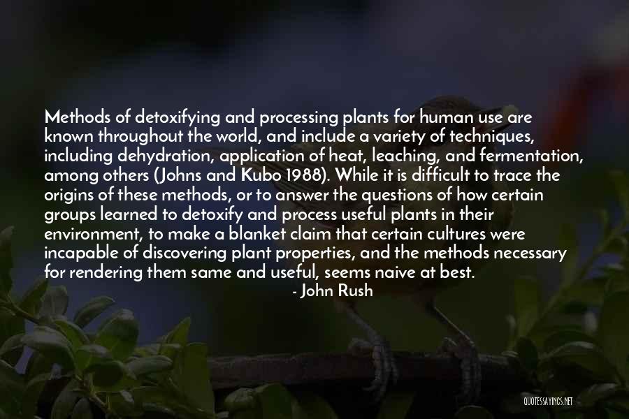 It S All In The Rendering Quotes By John Rush