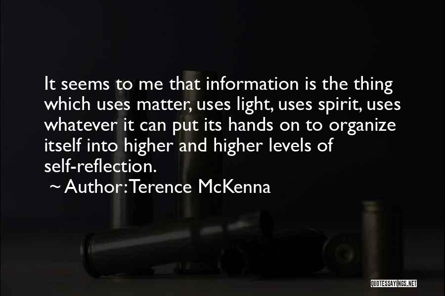 It Seems To Me Quotes By Terence McKenna