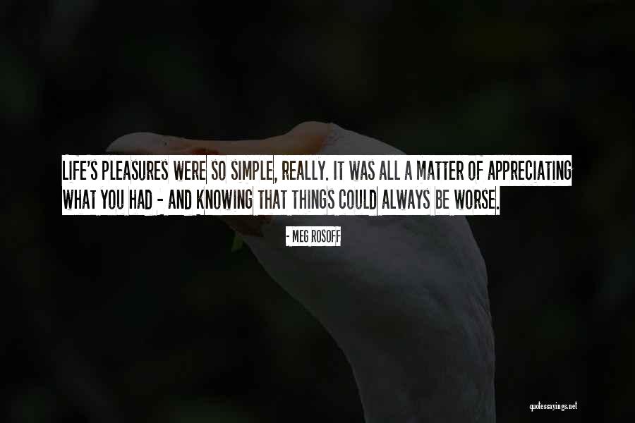 It Simple Things That Matter Quotes By Meg Rosoff It Simple Things That Matter Quotes By Meg Rosoff