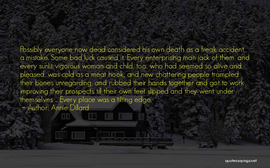It So Cold Quotes By Annie Dillard