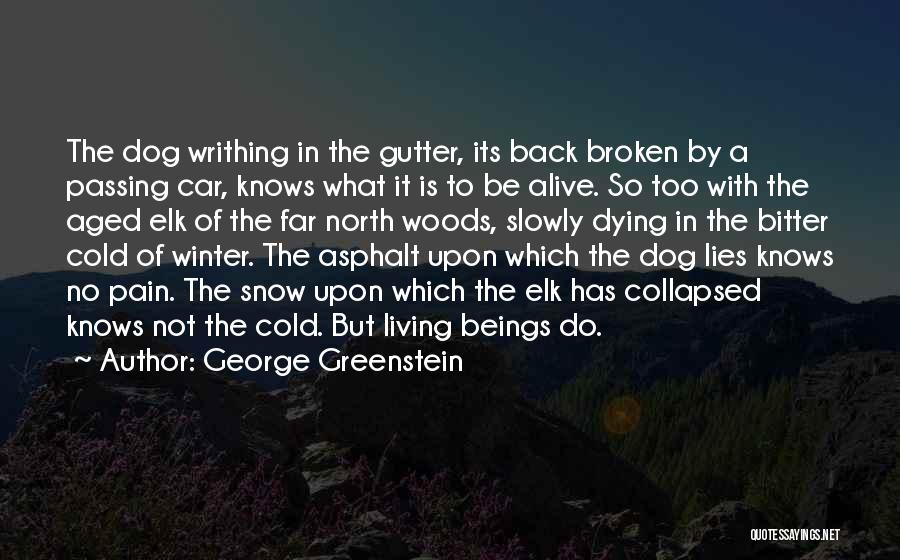 It So Cold Quotes By George Greenstein