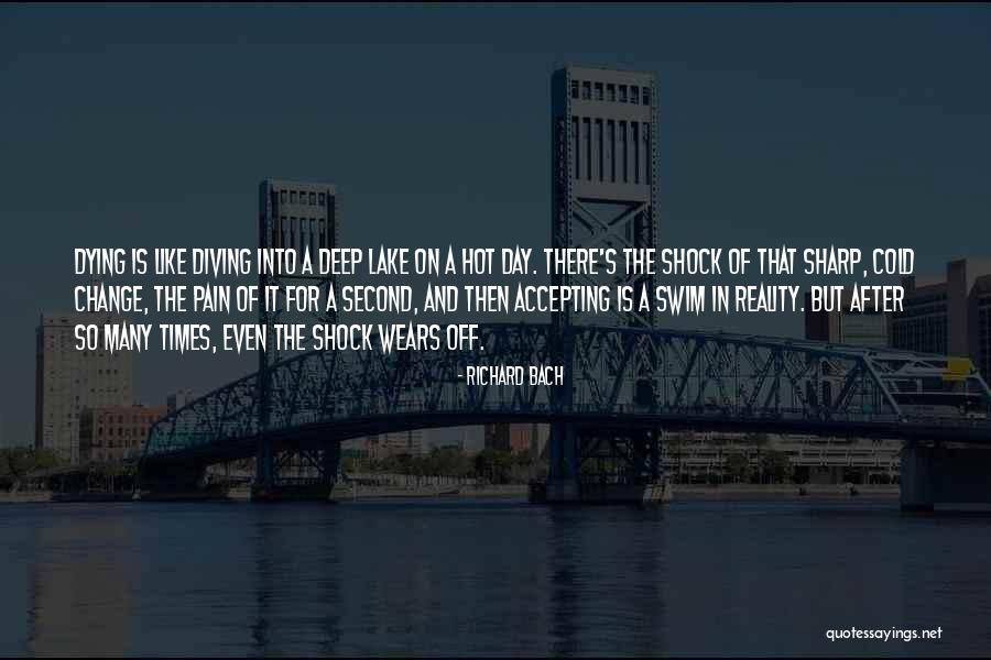 It So Hot That Quotes By Richard Bach It So Hot That Quotes By Richard Bach