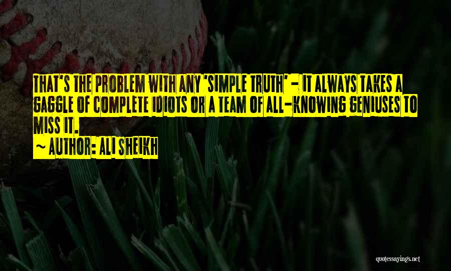 It Takes A Team Quotes By Ali Sheikh