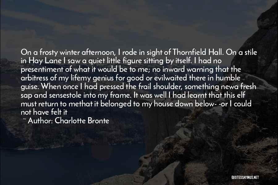 It Was A Good Night Quotes By Charlotte Bronte