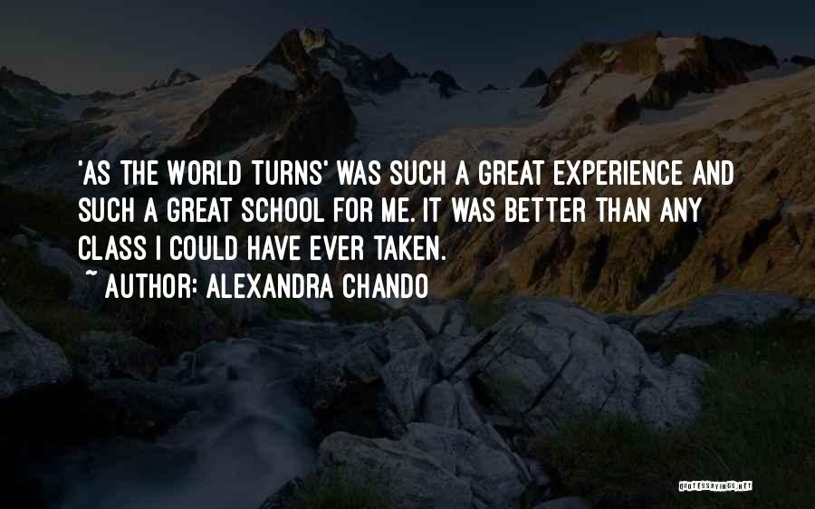 It Was A Great Experience Quotes By Alexandra Chando