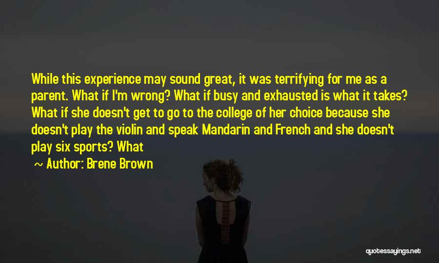 It Was A Great Experience Quotes By Brene Brown