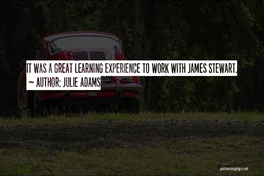 It Was A Great Experience Quotes By Julie Adams