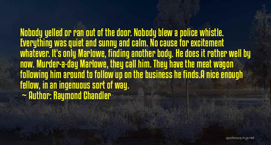 It Was A Nice Day Quotes By Raymond Chandler