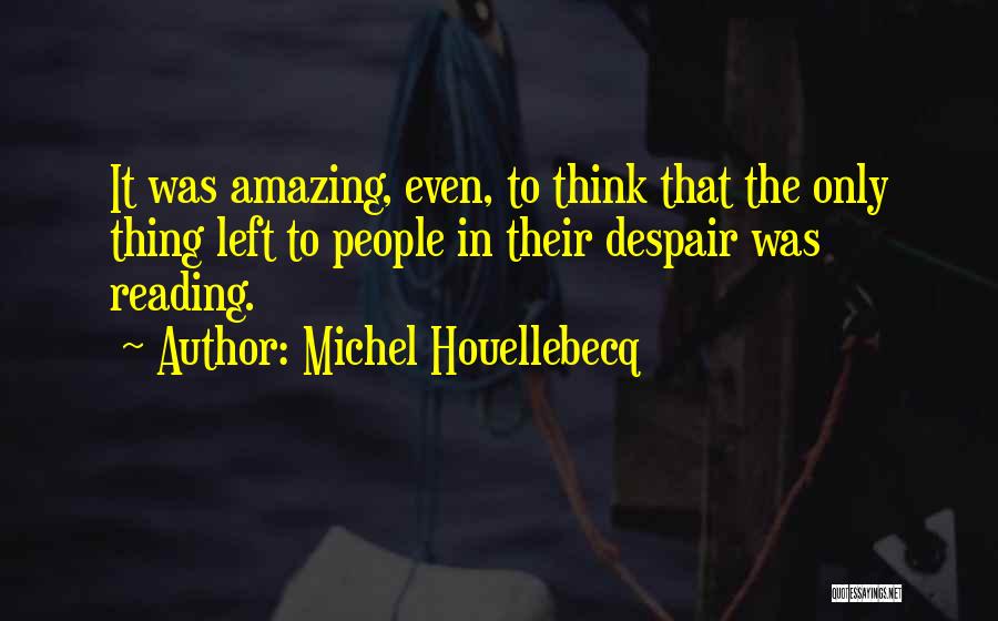 It Was Amazing Quotes By Michel Houellebecq