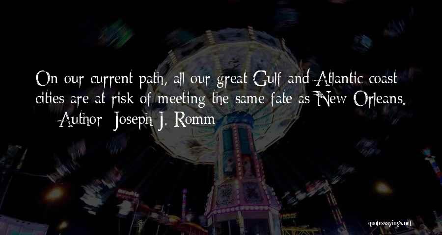 It Was Fate Meeting You Quotes By Joseph J. Romm