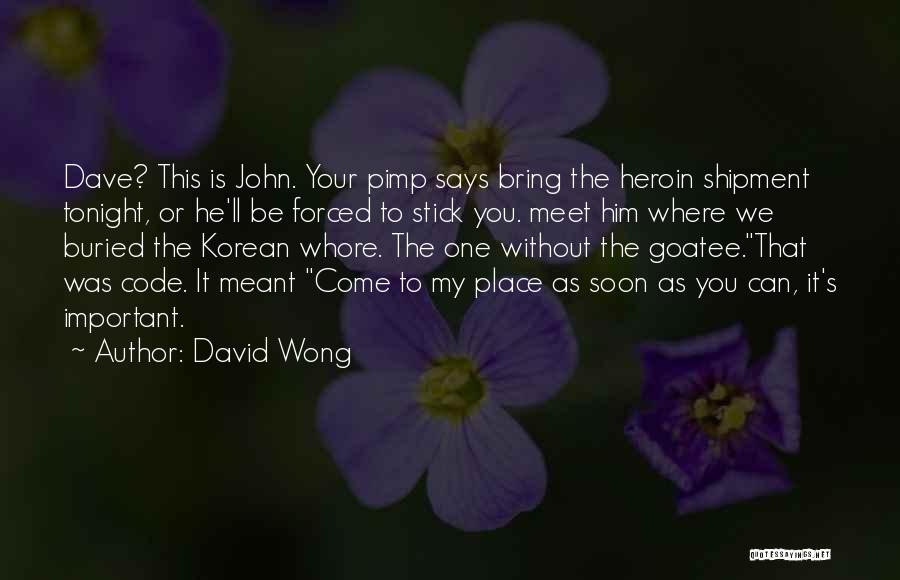 It Was Meant To Be Quotes By David Wong