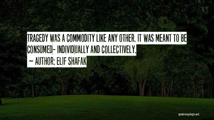 It Was Meant To Be Quotes By Elif Shafak