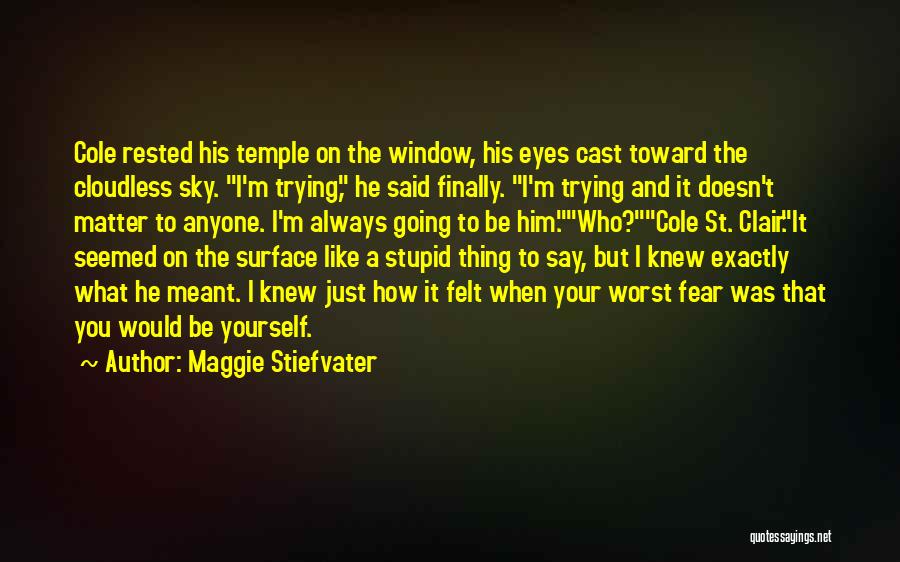 It Was Meant To Be Quotes By Maggie Stiefvater