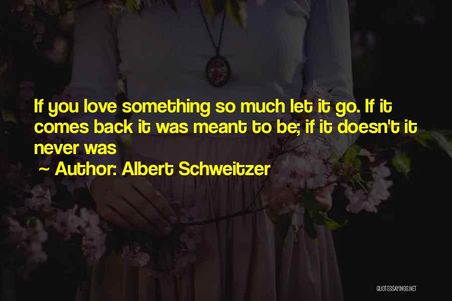 It Was Never Meant To Be Quotes By Albert Schweitzer