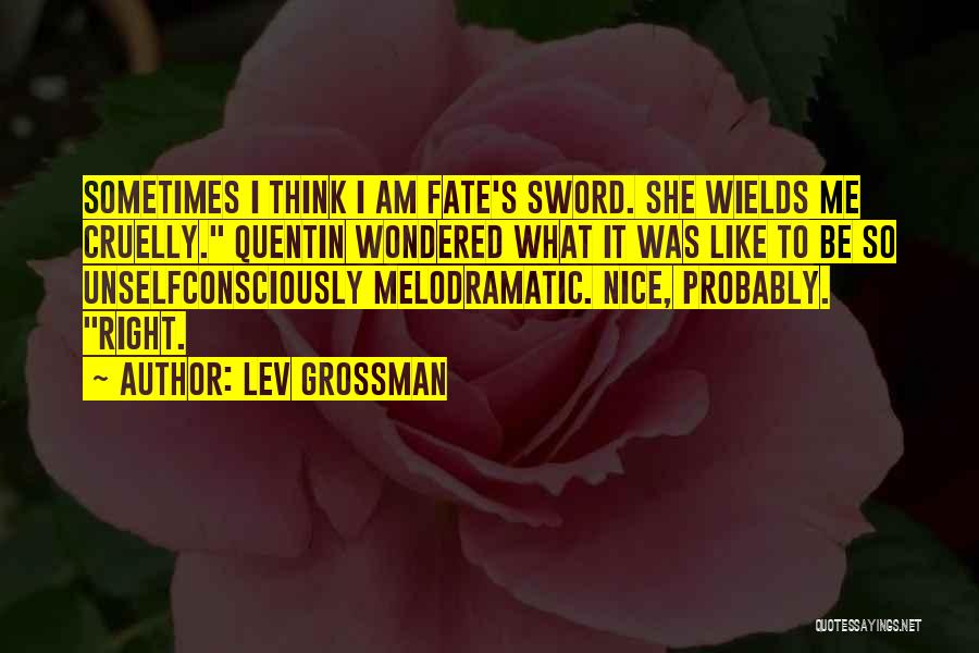 It Was Nice Quotes By Lev Grossman