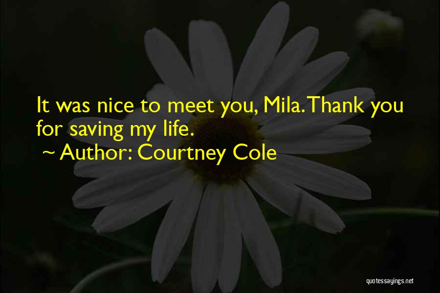 It Was Nice To Meet You Quotes By Courtney Cole