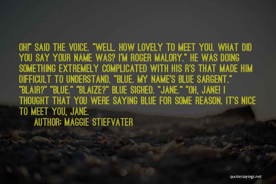 It Was Nice To Meet You Quotes By Maggie Stiefvater