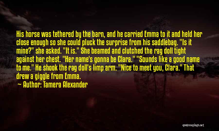 It Was Nice To Meet You Quotes By Tamera Alexander