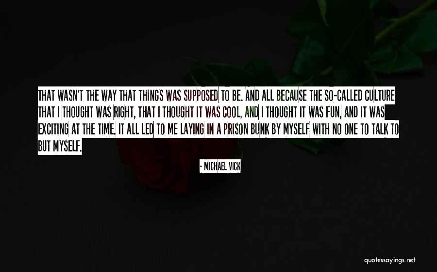 It Wasn't The Right Time For Us Quotes By Michael Vick