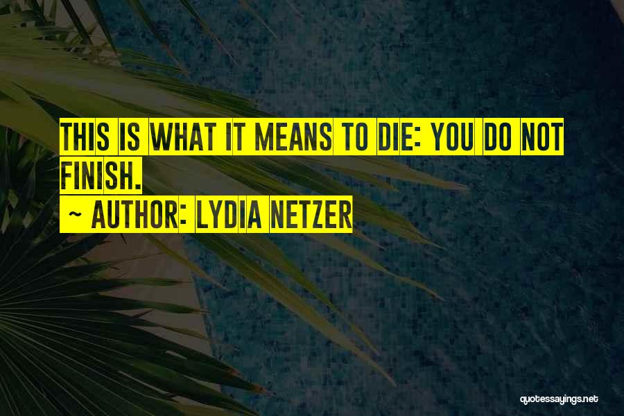 It What You Do Quotes By Lydia Netzer