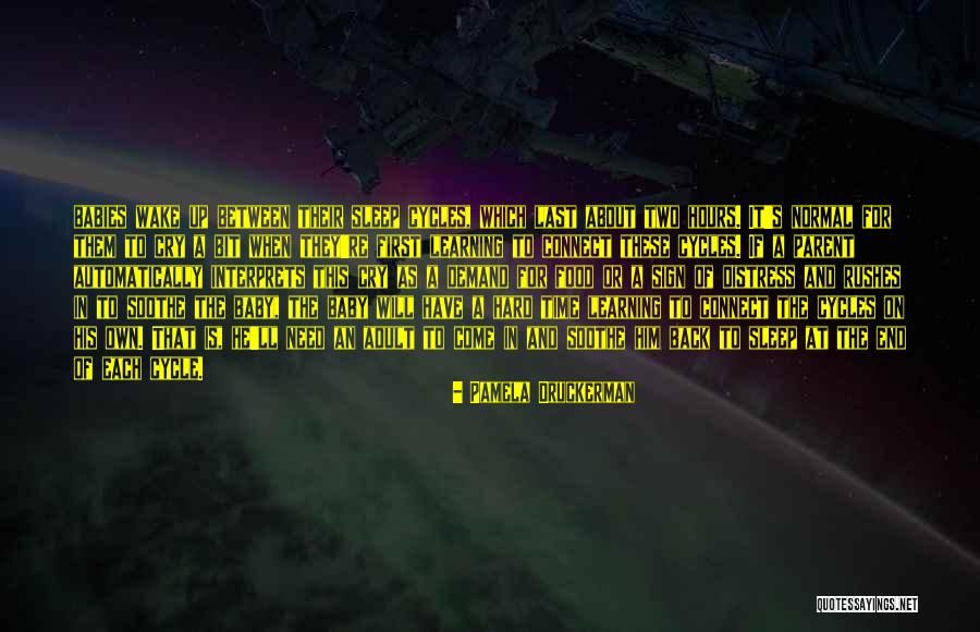 It Will Come Back Quotes By Pamela Druckerman It Will Come Back Quotes By Pamela Druckerman