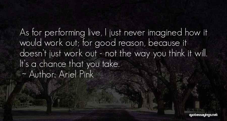 It Will Never Work Quotes By Ariel Pink