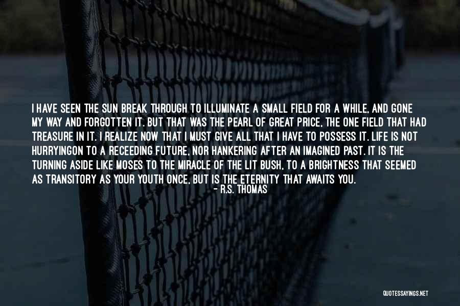 It Will Only Get Lit Quotes By R.S. Thomas