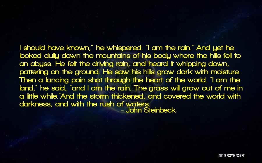 It Will Rain Quotes By John Steinbeck It Will Rain Quotes By John Steinbeck