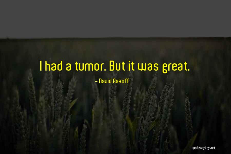 Itaatsizlik Quotes By David Rakoff