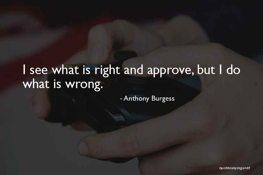 Italian Cookies Quotes By Anthony Burgess Italian Cookies Quotes By Anthony Burgess