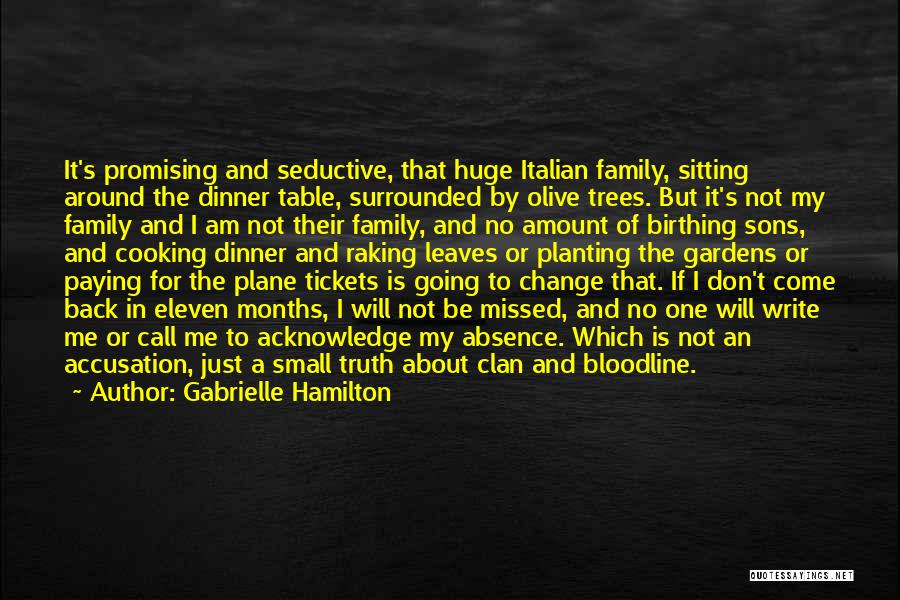 Italian Family Dinner Quotes By Gabrielle Hamilton