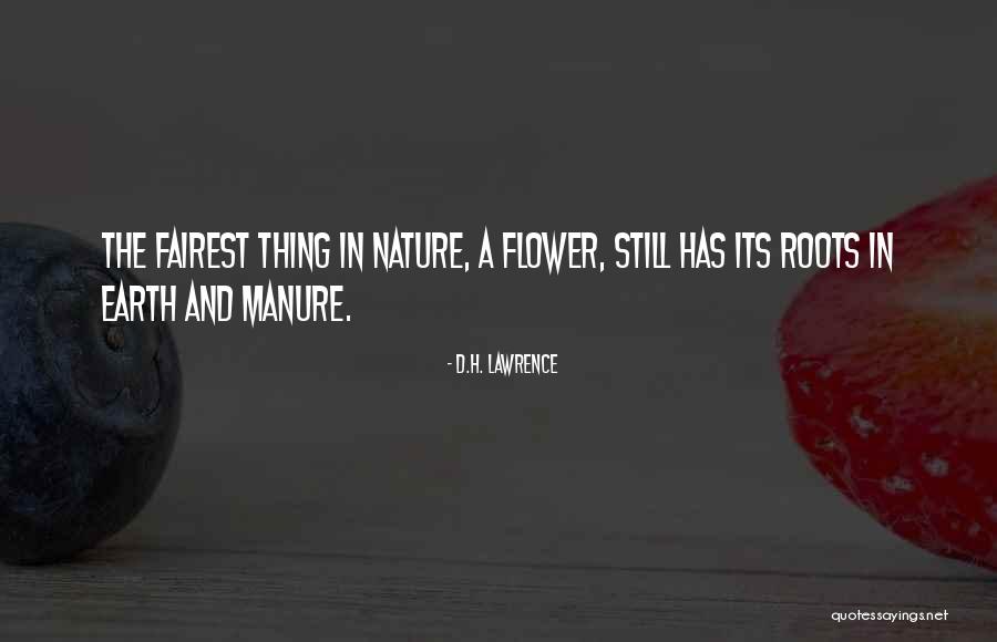 Italian Furniture Quotes By D.H. Lawrence Italian Furniture Quotes By D.H. Lawrence