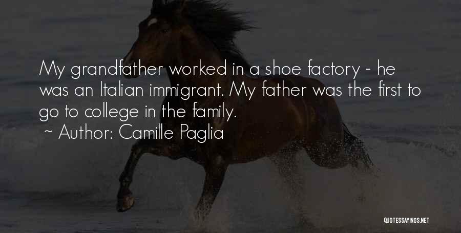 Italian Immigrant Quotes By Camille Paglia