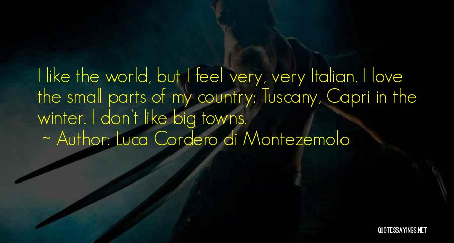 Italian Love Quotes By Luca Cordero Di Montezemolo