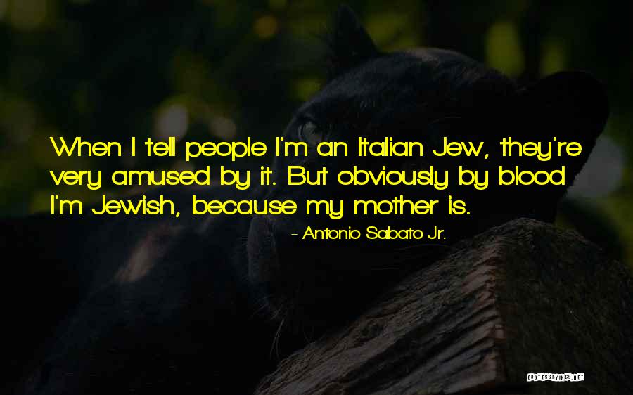 Italian Mother Quotes By Antonio Sabato Jr. Italian Mother Quotes By Antonio Sabato Jr.