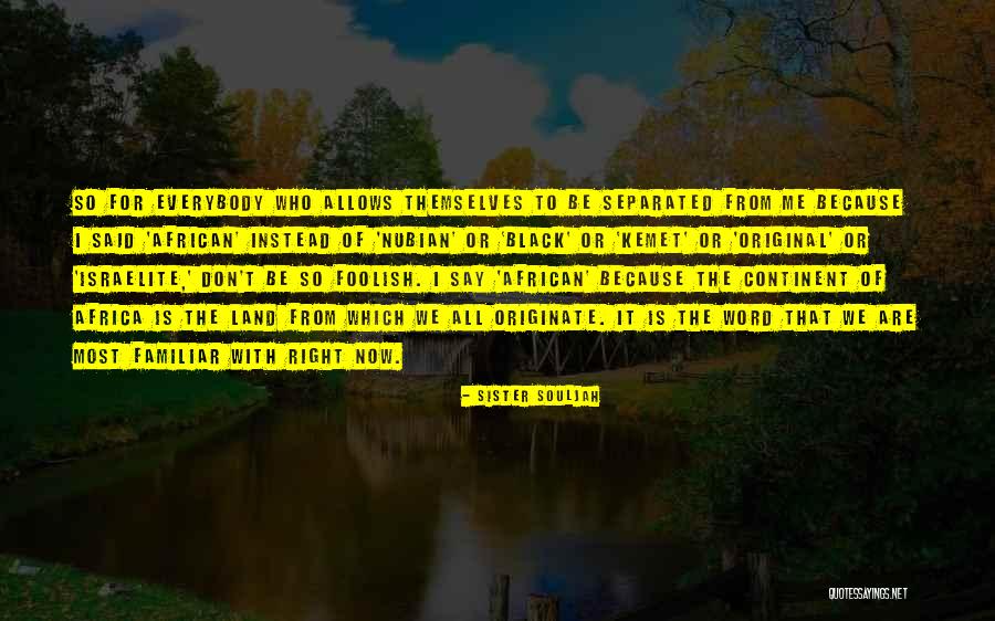 Itami Download Quotes By Sister Souljah