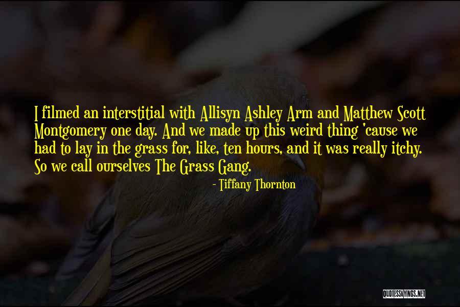 Itchy Quotes By Tiffany Thornton