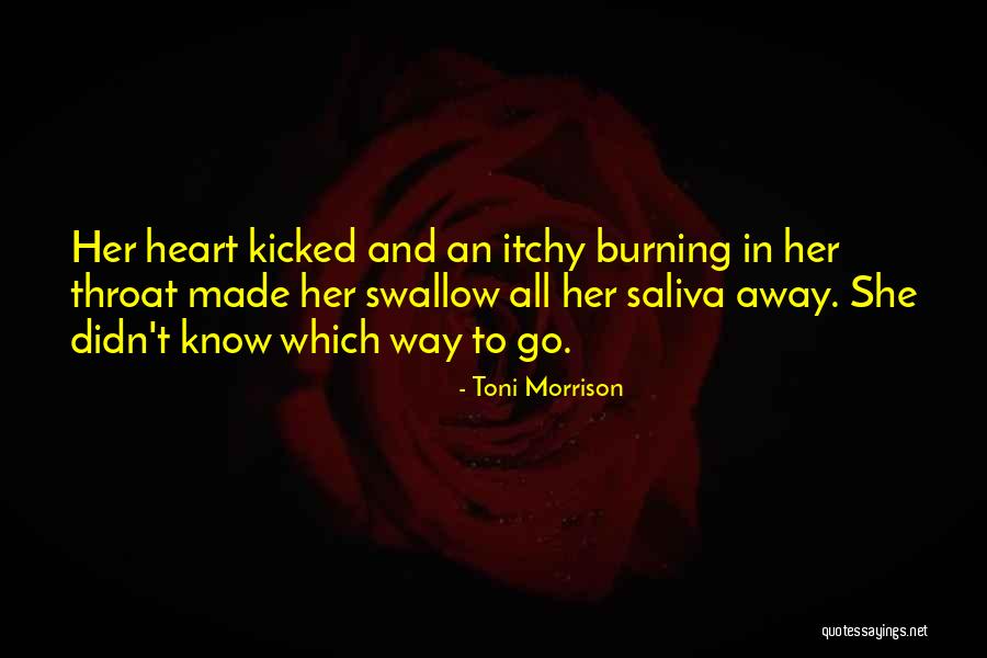 Itchy Quotes By Toni Morrison